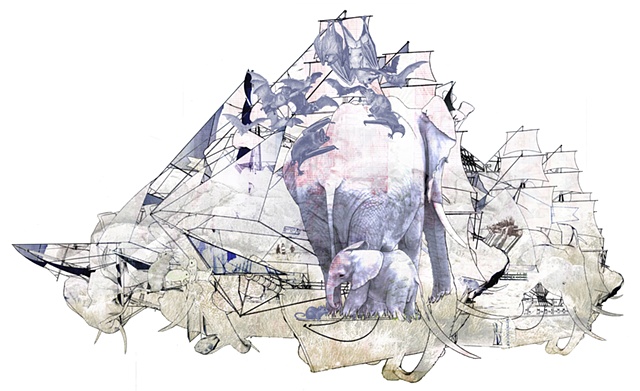Ship Shape